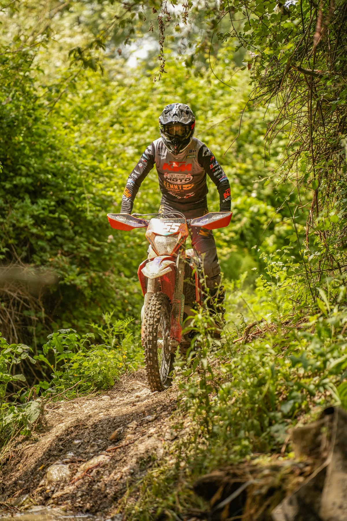 Randonnée enduro encadrée dans le Livradois-Forez